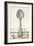 French Cuisine Spoon-Devon Ross-Framed Art Print