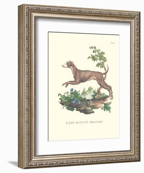 French Dogs I-Unknown-Framed Art Print