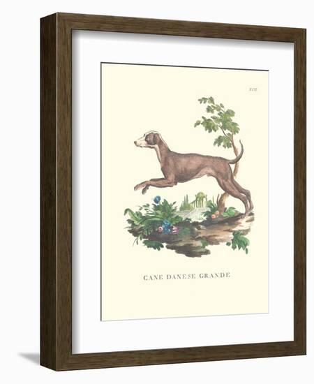 French Dogs I-Unknown-Framed Art Print