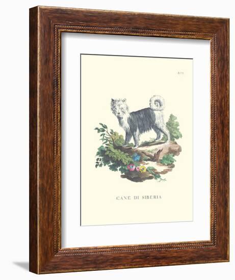 French Dogs IV-Unknown-Framed Art Print