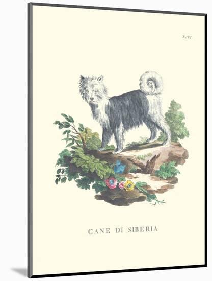 French Dogs IV-Unknown-Mounted Art Print