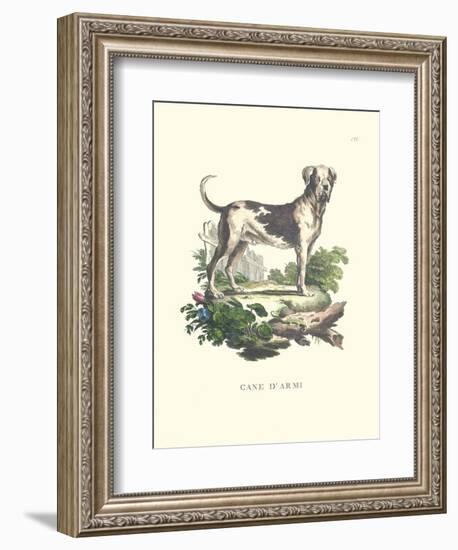 French Dogs IX-Unknown-Framed Art Print