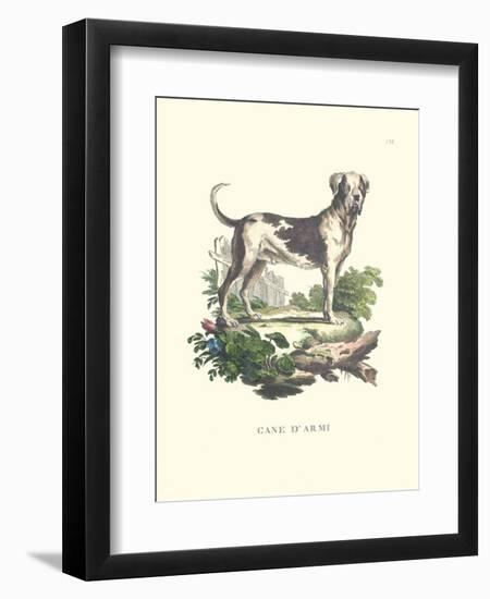 French Dogs IX-Unknown-Framed Art Print