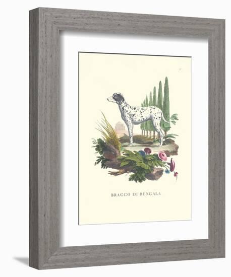 French Dogs V-Unknown-Framed Art Print