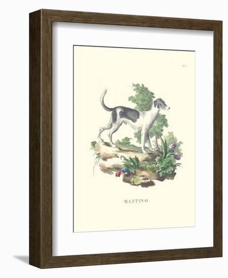 French Dogs VI-Unknown-Framed Art Print