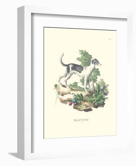 French Dogs VI-Unknown-Framed Art Print