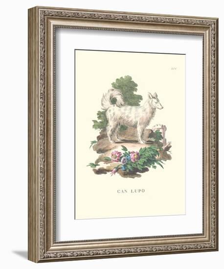 French Dogs VII-Unknown-Framed Art Print