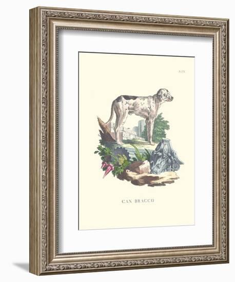 French Dogs VIII-Unknown-Framed Art Print