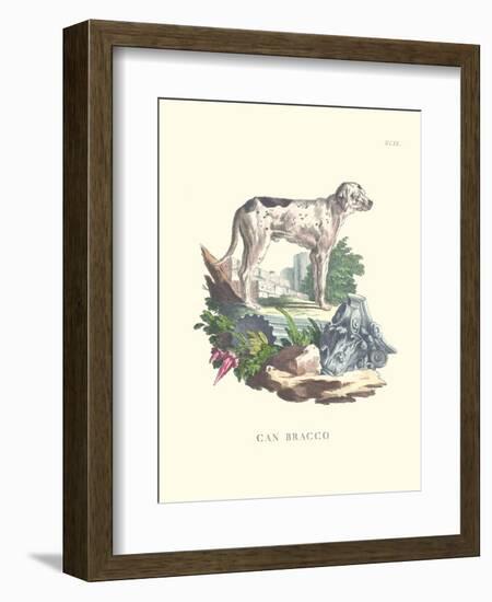 French Dogs VIII-Unknown-Framed Art Print