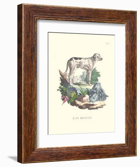 French Dogs VIII-Unknown-Framed Art Print