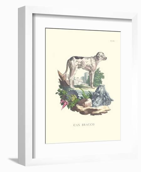 French Dogs VIII-Unknown-Framed Art Print