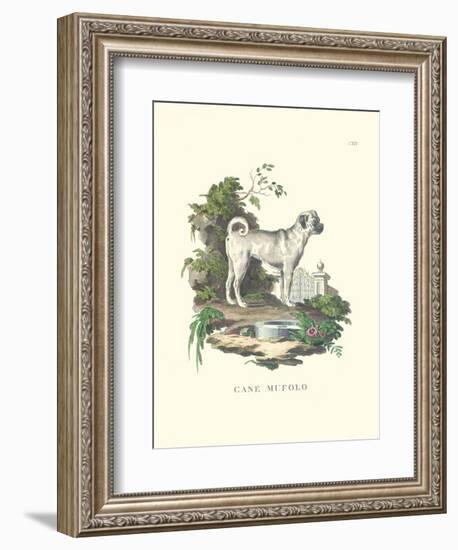 French Dogs X-Unknown-Framed Art Print