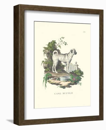 French Dogs X-Unknown-Framed Art Print