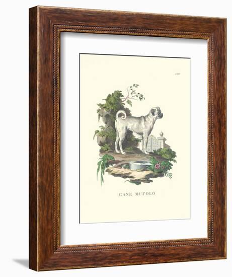 French Dogs X-Unknown-Framed Art Print