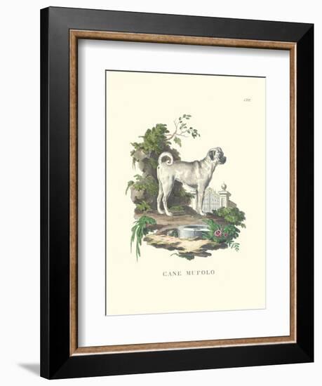 French Dogs X-Unknown-Framed Art Print
