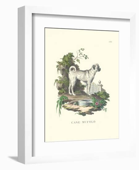 French Dogs X-Unknown-Framed Art Print