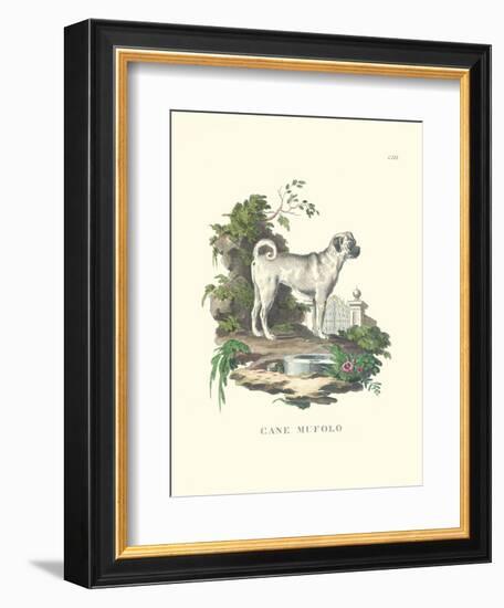 French Dogs X-Unknown-Framed Art Print