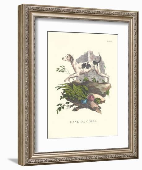 French Dogs XI-Unknown-Framed Art Print