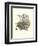 French Dogs XI-Unknown-Framed Art Print