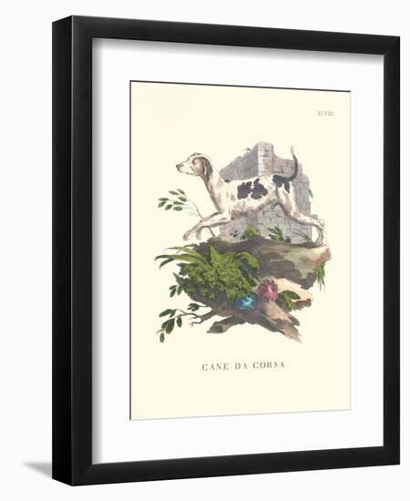 French Dogs XI-Unknown-Framed Art Print