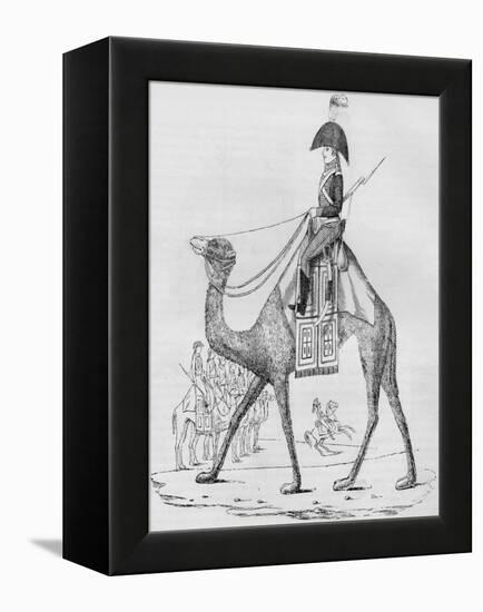 French Domedary Regiment. Captured with a Convoy in the Lybian Desert, May, 1801-null-Framed Premier Image Canvas