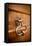 French Door Knocker II-Erin Berzel-Framed Premier Image Canvas