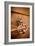 French Door Knocker II-Erin Berzel-Framed Photographic Print