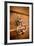 French Door Knocker II-Erin Berzel-Framed Photographic Print