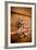 French Door Knocker II-Erin Berzel-Framed Photographic Print