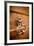 French Door Knocker II-Erin Berzel-Framed Photographic Print