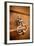 French Door Knocker II-Erin Berzel-Framed Photographic Print