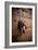 French Door Knocker III-Erin Berzel-Framed Photographic Print