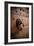 French Door Knocker III-Erin Berzel-Framed Photographic Print