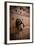 French Door Knocker III-Erin Berzel-Framed Photographic Print