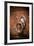 French Door Knocker IV-Erin Berzel-Framed Photographic Print