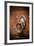 French Door Knocker IV-Erin Berzel-Framed Photographic Print