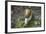 French Escargot, Moss, Stone-Jurgen Ulmer-Framed Photographic Print