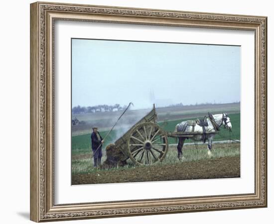 French Farmer Laying Compost on His Field from a Cart Drawn by a Percheron Horse-Loomis Dean-Framed Photographic Print