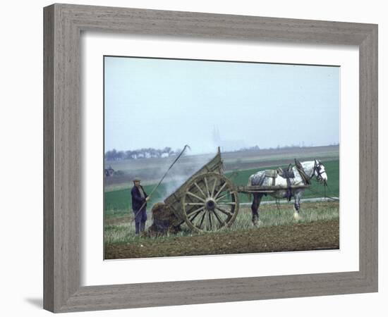 French Farmer Laying Compost on His Field from a Cart Drawn by a Percheron Horse-Loomis Dean-Framed Photographic Print