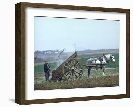 French Farmer Laying Compost on His Field from a Cart Drawn by a Percheron Horse-Loomis Dean-Framed Photographic Print