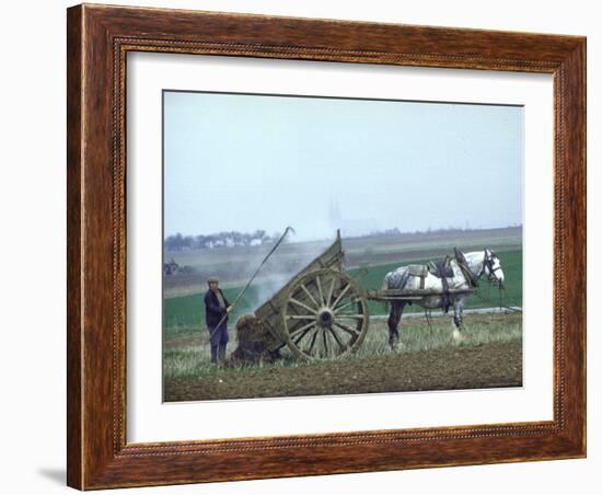 French Farmer Laying Compost on His Field from a Cart Drawn by a Percheron Horse-Loomis Dean-Framed Photographic Print