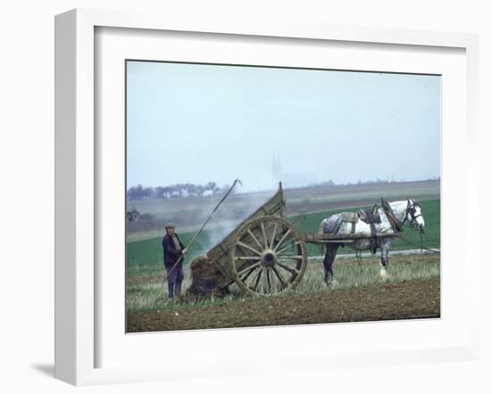 French Farmer Laying Compost on His Field from a Cart Drawn by a Percheron Horse-Loomis Dean-Framed Photographic Print