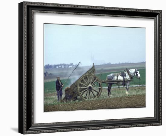 French Farmer Laying Compost on His Field from a Cart Drawn by a Percheron Horse-Loomis Dean-Framed Photographic Print