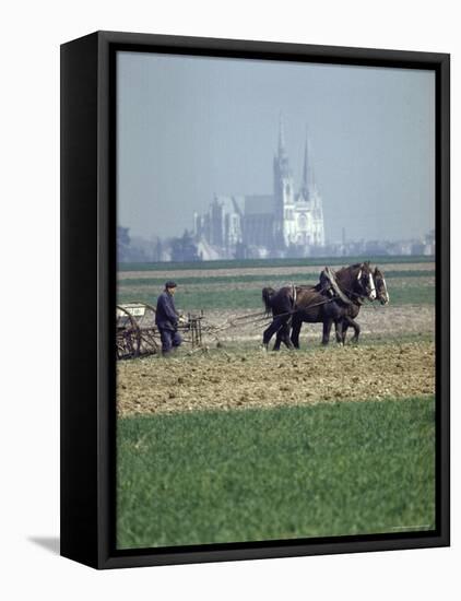 French Farmer Laying Fertilizer on His Field with a Team of Percheron Horses-Loomis Dean-Framed Premier Image Canvas