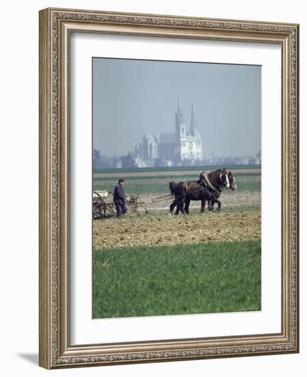 French Farmer Laying Fertilizer on His Field with a Team of Percheron Horses-Loomis Dean-Framed Photographic Print