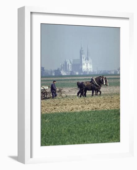 French Farmer Laying Fertilizer on His Field with a Team of Percheron Horses-Loomis Dean-Framed Photographic Print