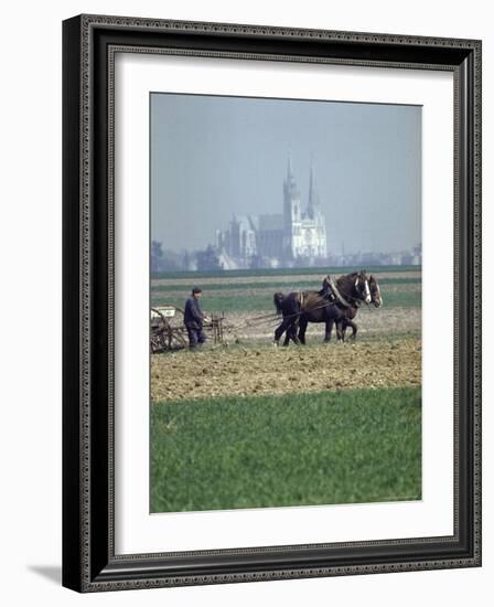 French Farmer Laying Fertilizer on His Field with a Team of Percheron Horses-Loomis Dean-Framed Photographic Print