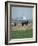 French Farmer Laying Fertilizer on His Field with a Team of Percheron Horses-Loomis Dean-Framed Photographic Print