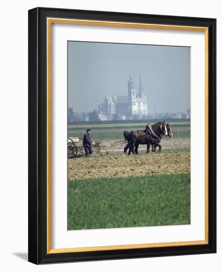 French Farmer Laying Fertilizer on His Field with a Team of Percheron Horses-Loomis Dean-Framed Photographic Print