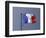 French Flag, France-David Barnes-Framed Photographic Print